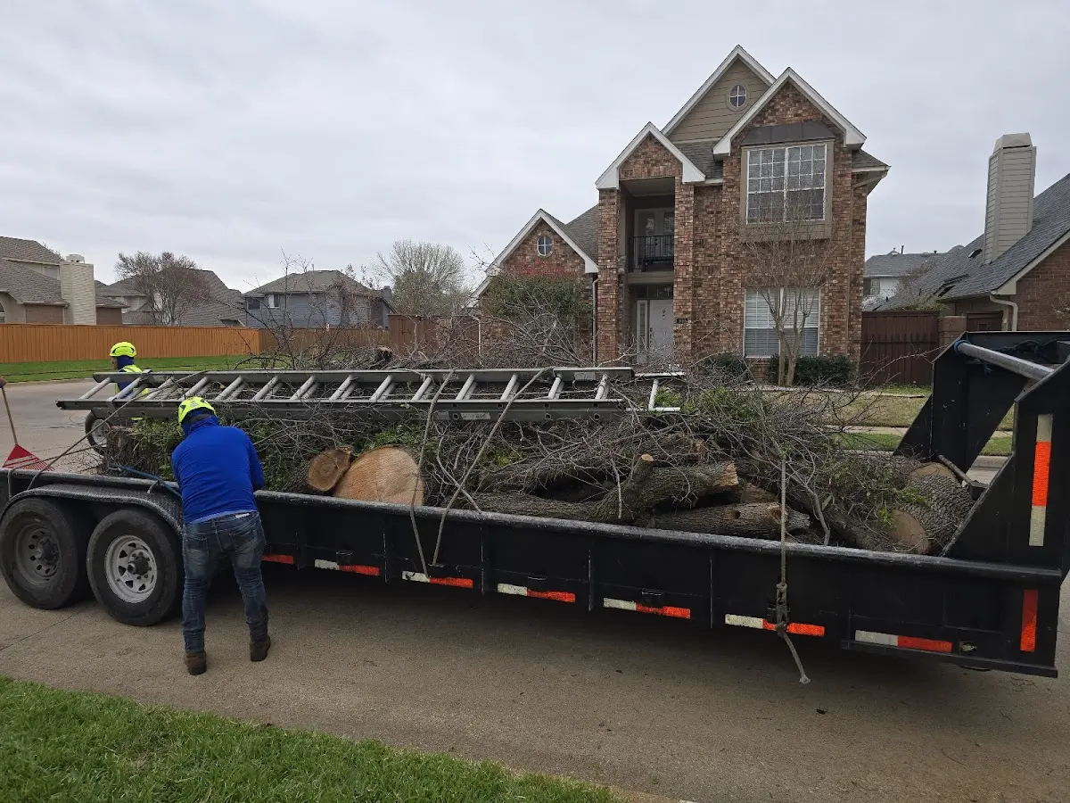 Expert Crown Reduction with proper safety equipment in Dry Branch